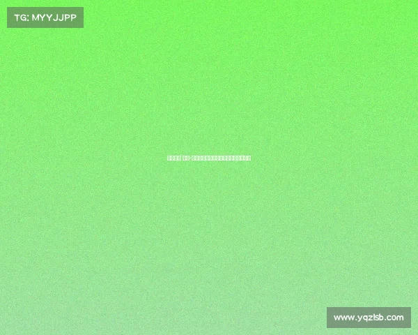 焦点赛事 规则-焦点赛事规则核心要点精要解析与解读